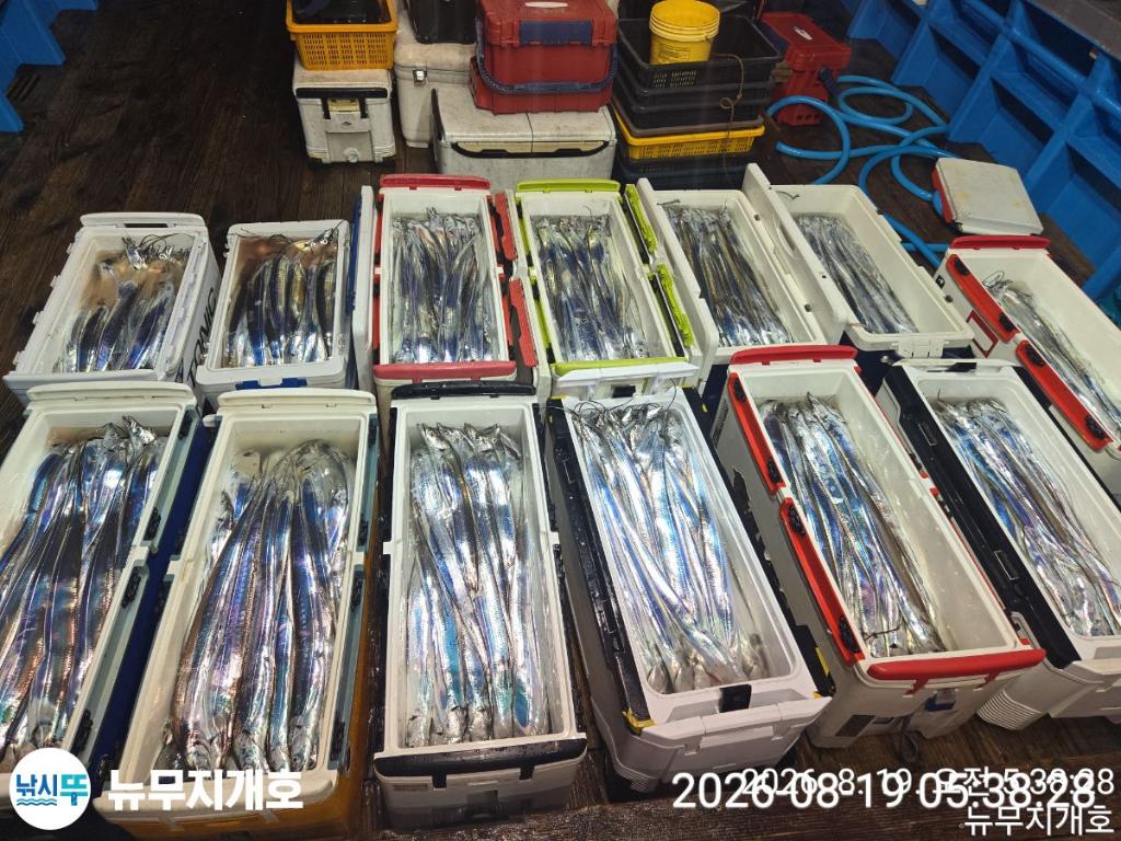 낚시뚜,갈치,통영영운리항,뉴무지개호,낚시뚜27