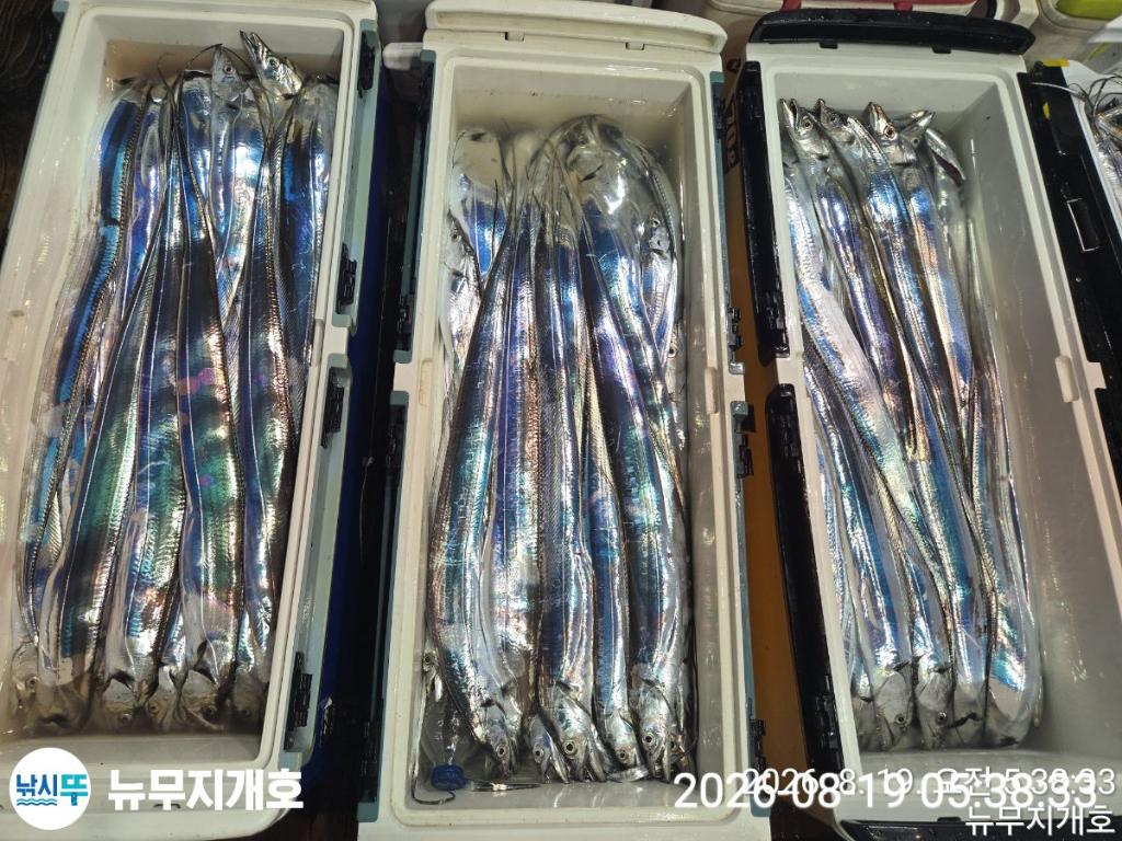 낚시뚜,갈치,통영영운리항,뉴무지개호,낚시뚜23