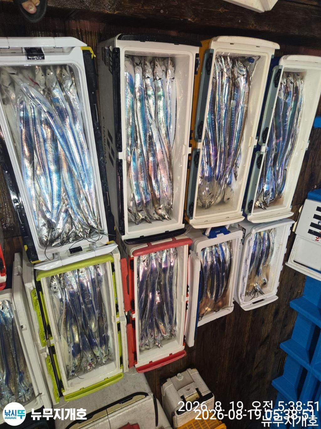 낚시뚜,갈치,통영영운리항,뉴무지개호,낚시뚜22