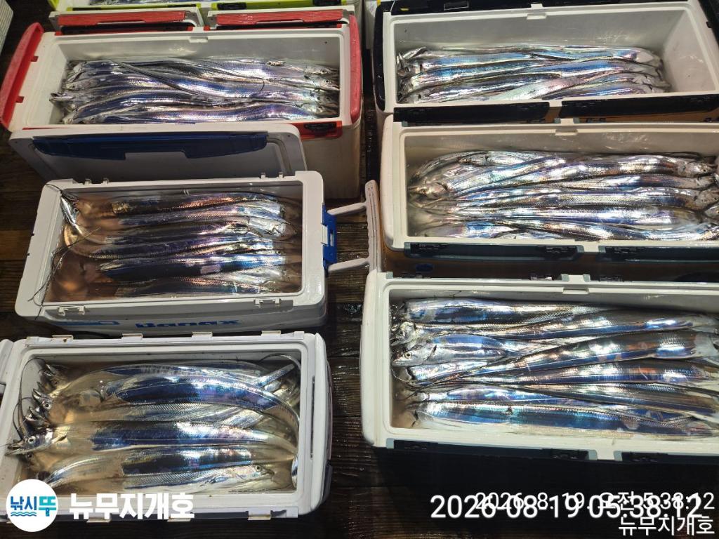 낚시뚜,갈치,통영영운리항,뉴무지개호,낚시뚜21