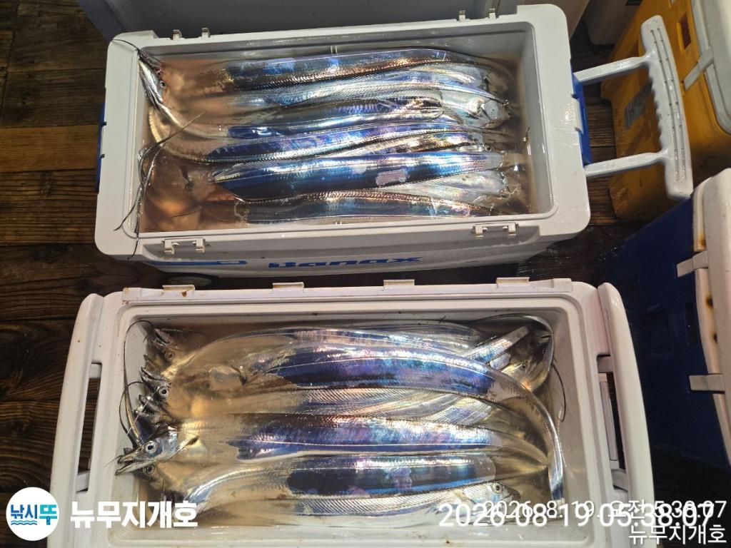 낚시뚜,갈치,통영영운리항,뉴무지개호,낚시뚜20