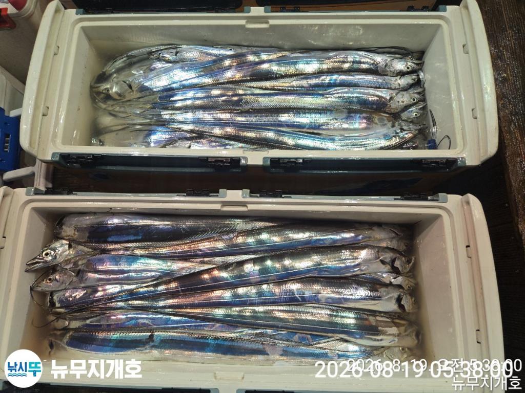 낚시뚜,갈치,통영영운리항,뉴무지개호,낚시뚜18
