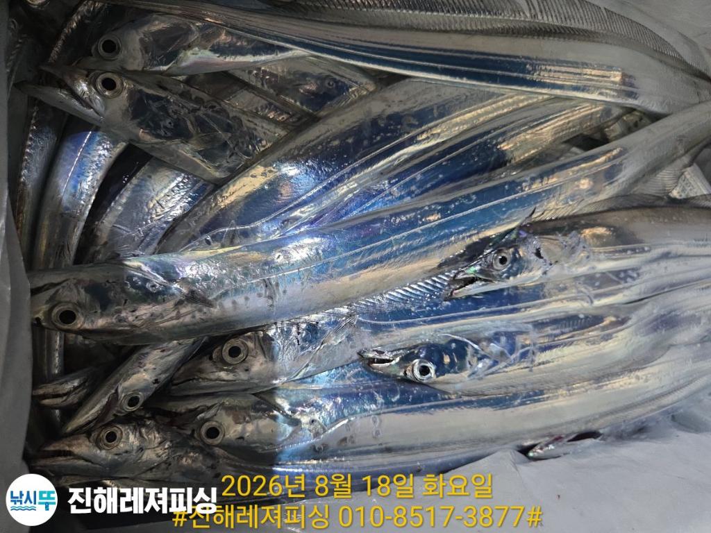 낚시뚜,갈치,진해1부두항,진해레져피싱,낚시뚜17