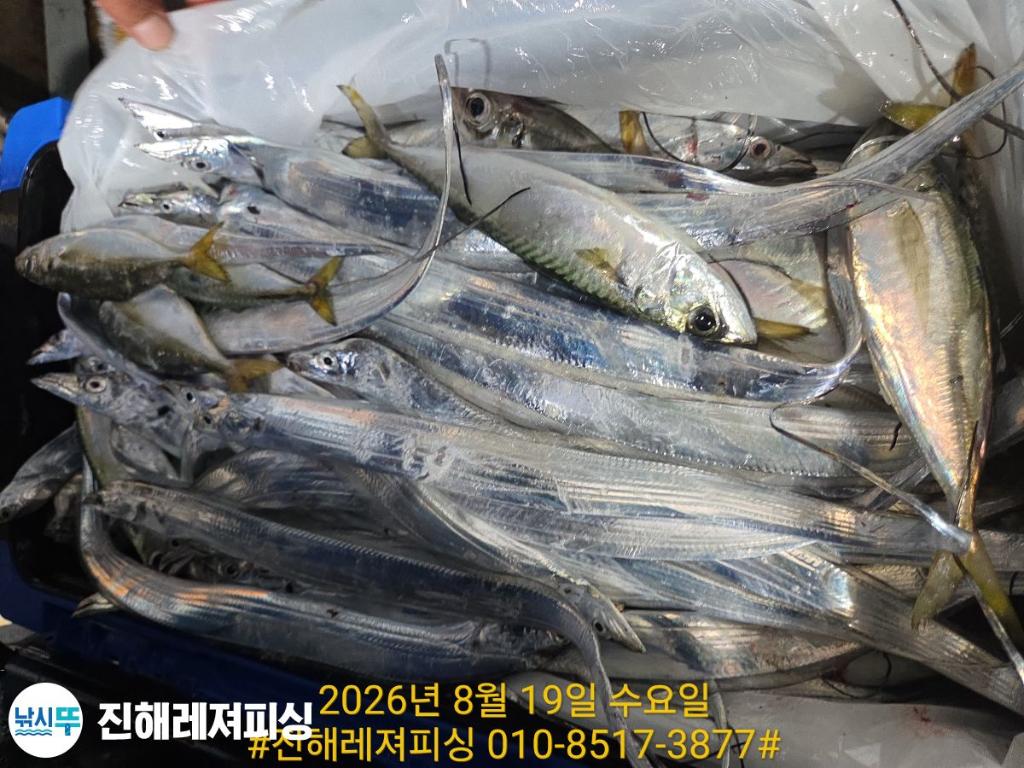낚시뚜,갈치,진해1부두항,진해레져피싱,낚시뚜9