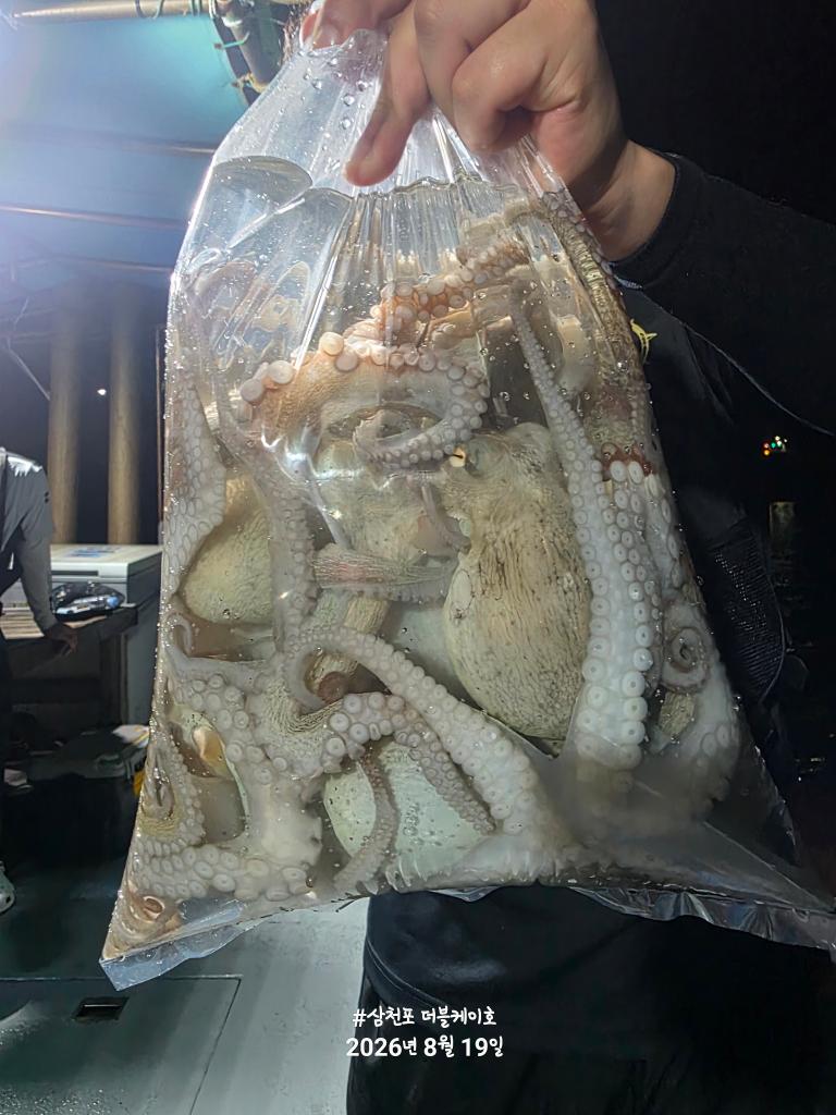 낚시뚜,돌문어,삼천포 팔포항,삼천포 더블케이호,낚시뚜9