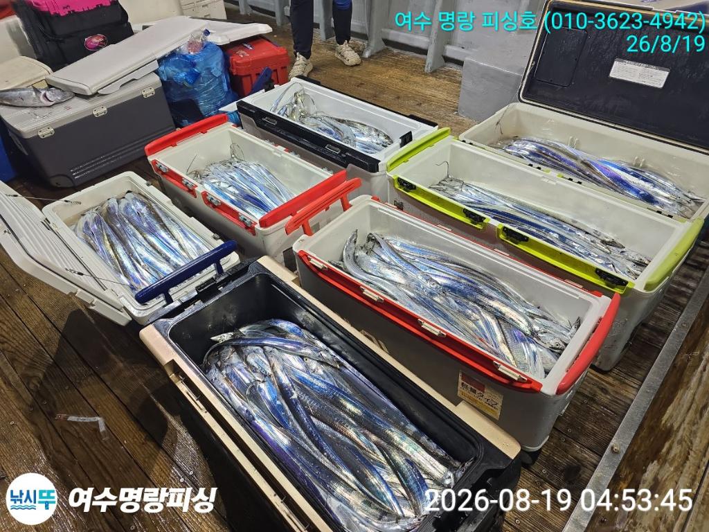 낚시뚜,갈치,국동항,여수명랑피싱,낚시뚜7