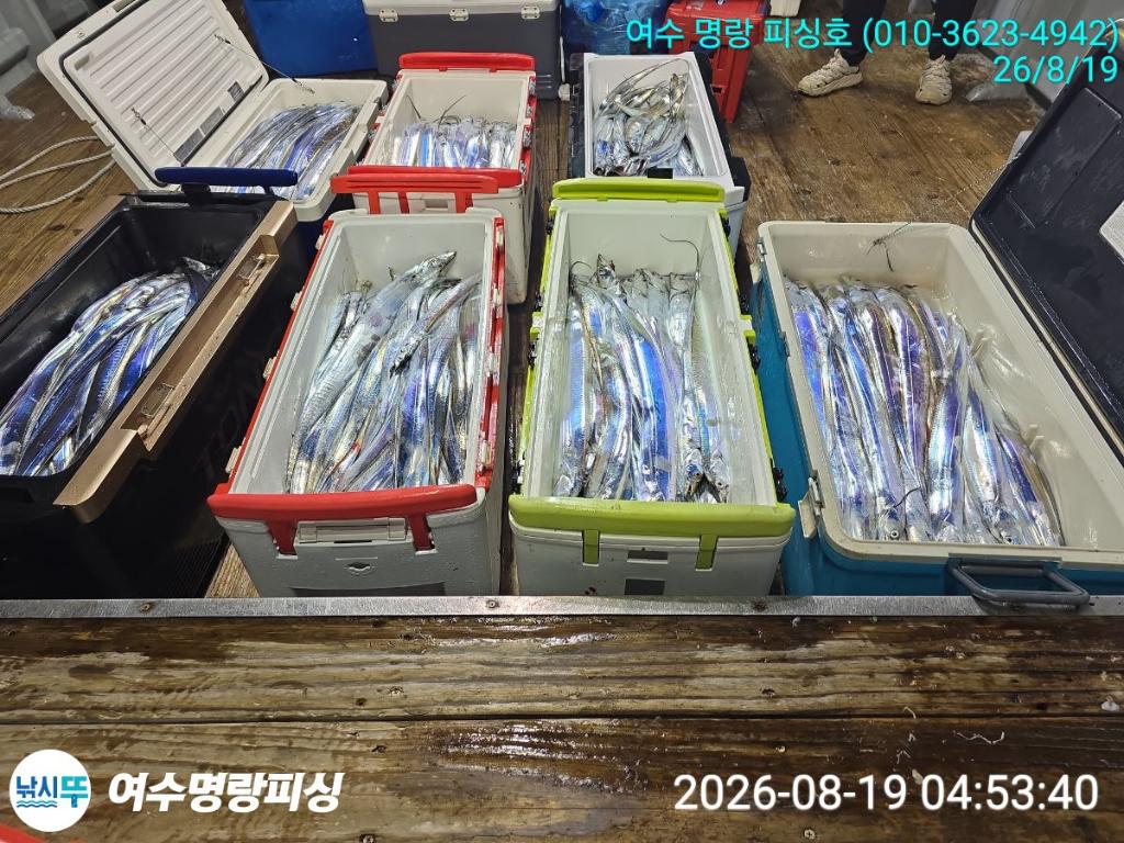 낚시뚜,갈치,국동항,여수명랑피싱,낚시뚜6