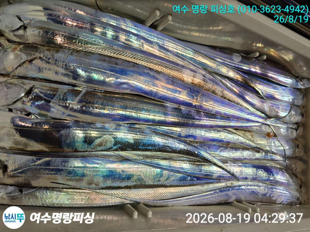 낚시뚜,갈치,국동항,여수명랑피싱,낚시뚜5