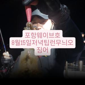 조황, 웨이브호팁런무늬오징어
