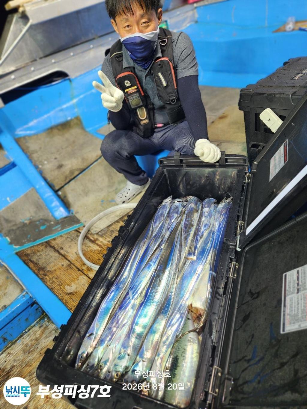 낚시뚜,갈치,통영영운리항,부성피싱7호,낚시뚜5