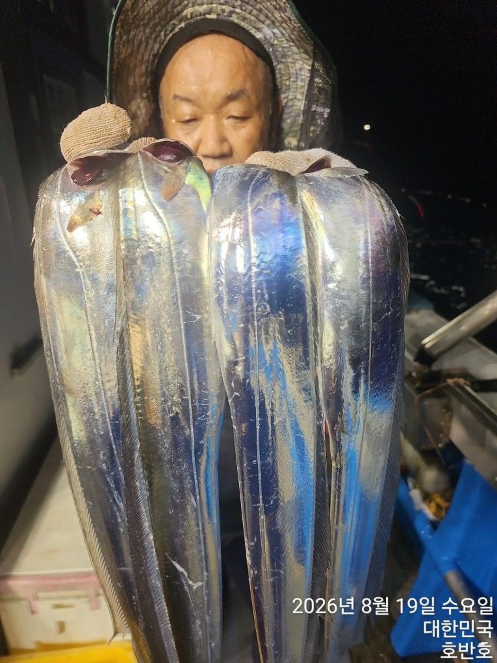 낚시뚜,갈치,통영 신전항,통영호반호,낚시뚜12