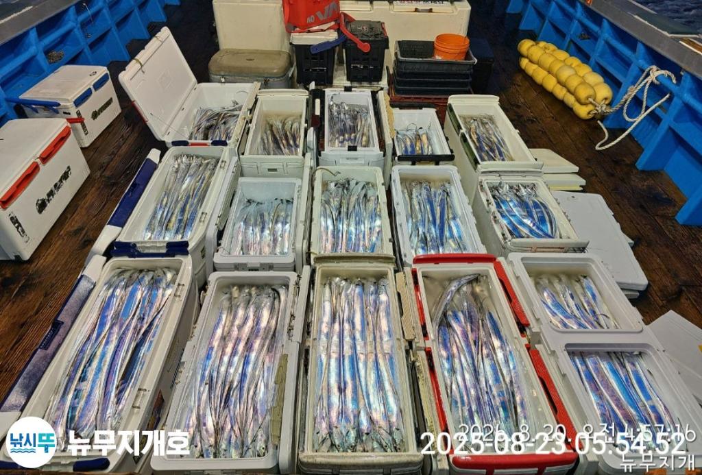 낚시뚜,갈치,통영영운리항,뉴무지개호,낚시뚜11