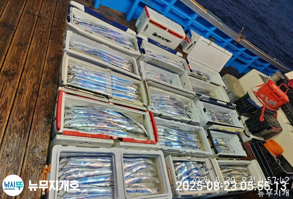 낚시뚜,갈치,통영영운리항,뉴무지개호,낚시뚜10