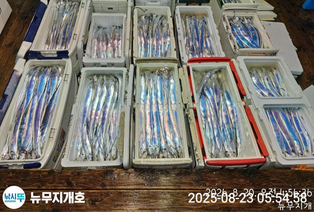 낚시뚜,갈치,통영영운리항,뉴무지개호,낚시뚜9