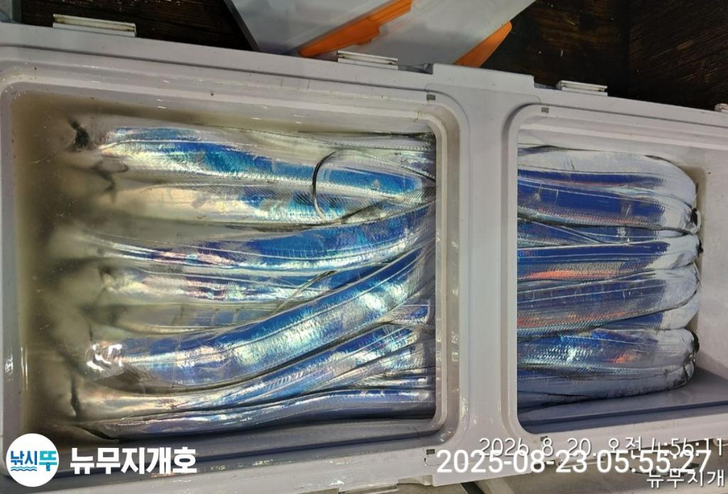 낚시뚜,갈치,통영영운리항,뉴무지개호,낚시뚜8