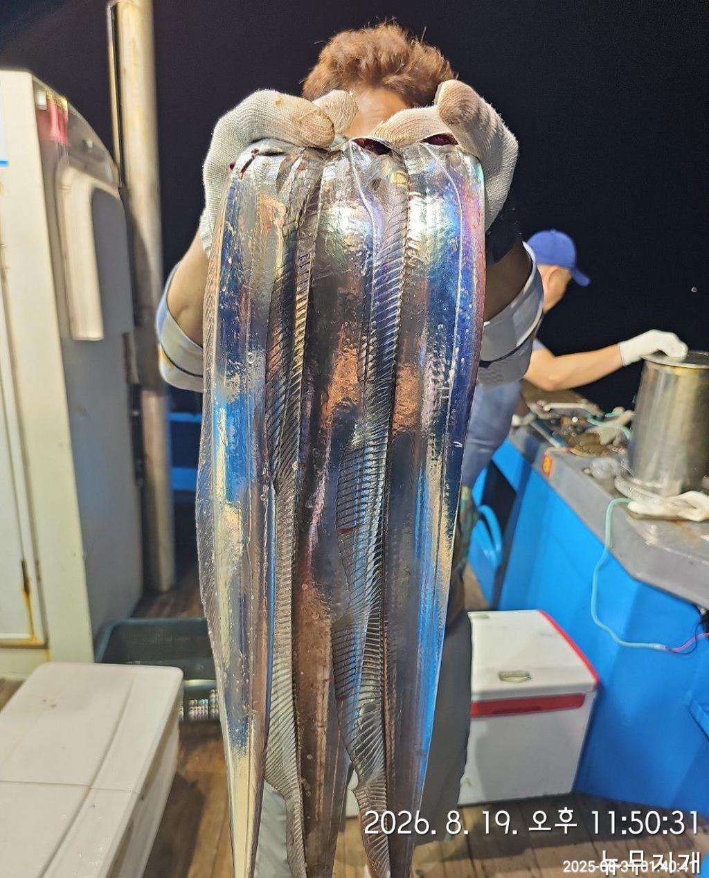 낚시뚜,갈치,통영영운리항,뉴무지개호,낚시뚜1