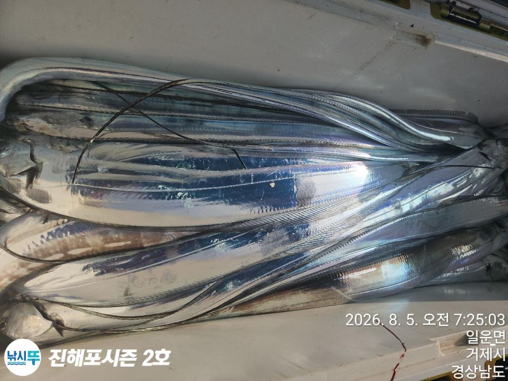 낚시뚜,갈치,진해행암항,진해포시즌 2호,낚시뚜2