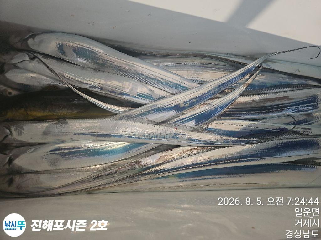 낚시뚜,갈치,진해행암항,진해포시즌 2호,낚시뚜1