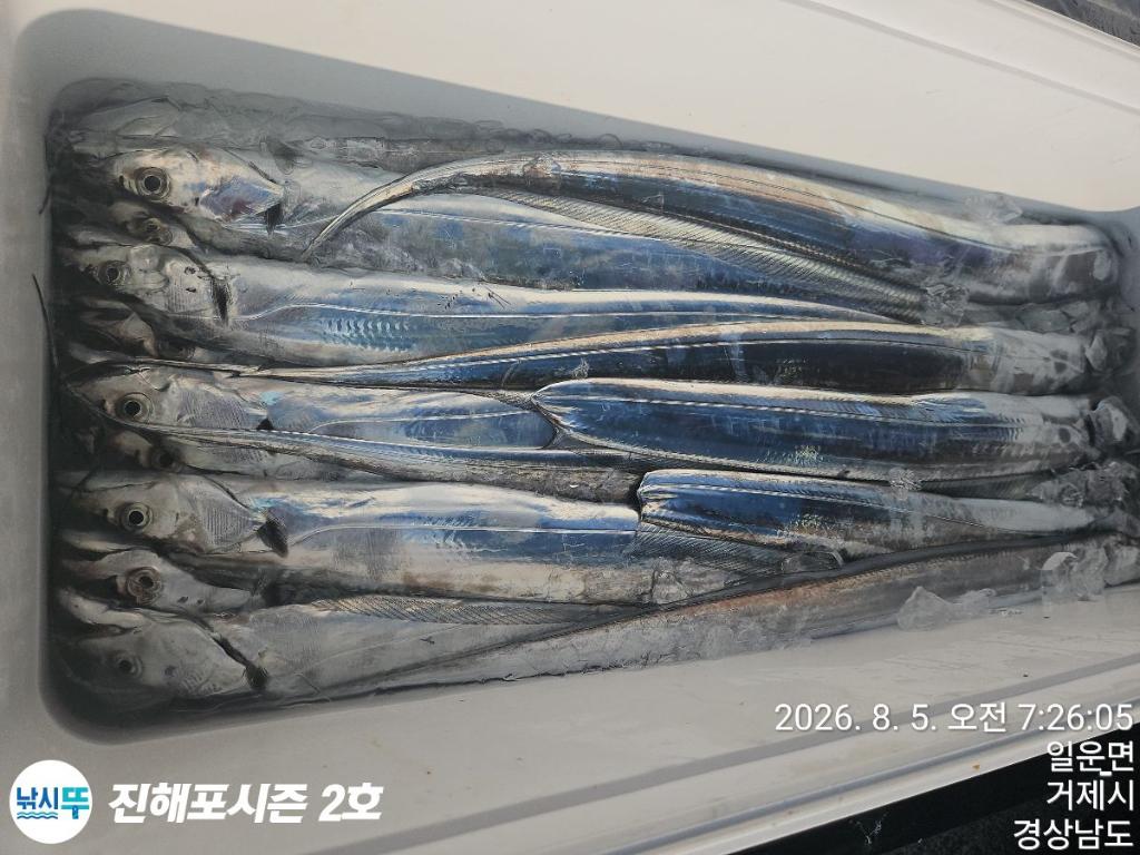 낚시뚜,갈치,진해행암항,진해포시즌 2호,낚시뚜0