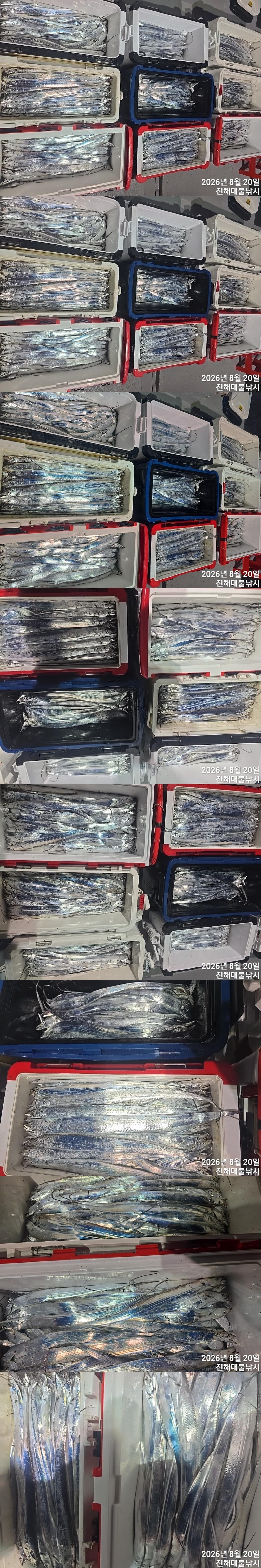 낚시뚜,갈치,진해1부두항,진해대물낚시,낚시뚜1