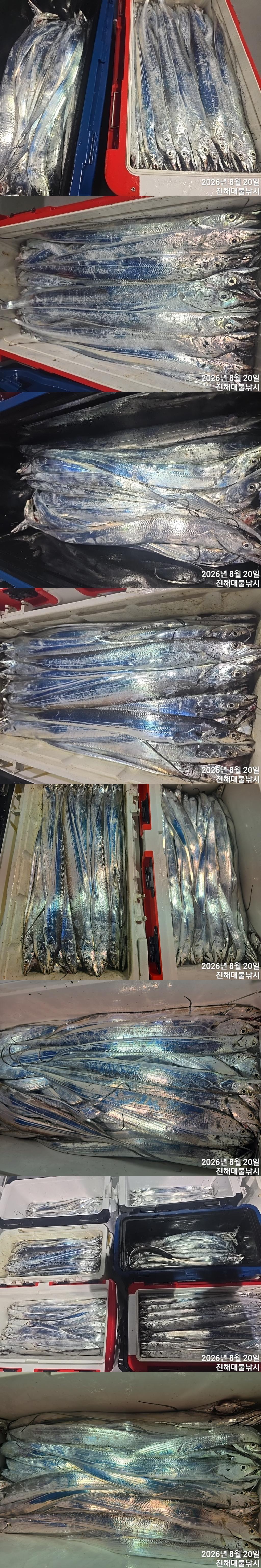 낚시뚜,갈치,진해1부두항,진해대물낚시,낚시뚜2