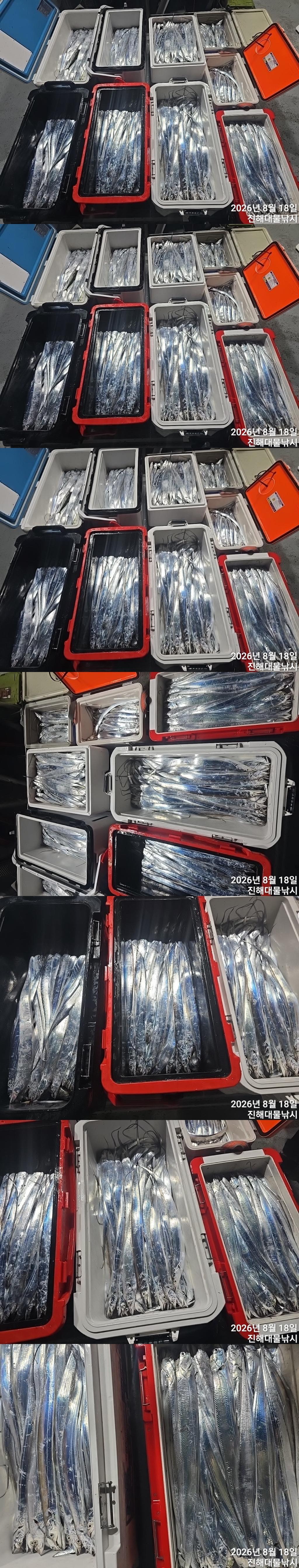 낚시뚜,갈치,진해1부두항,진해대물낚시,낚시뚜3