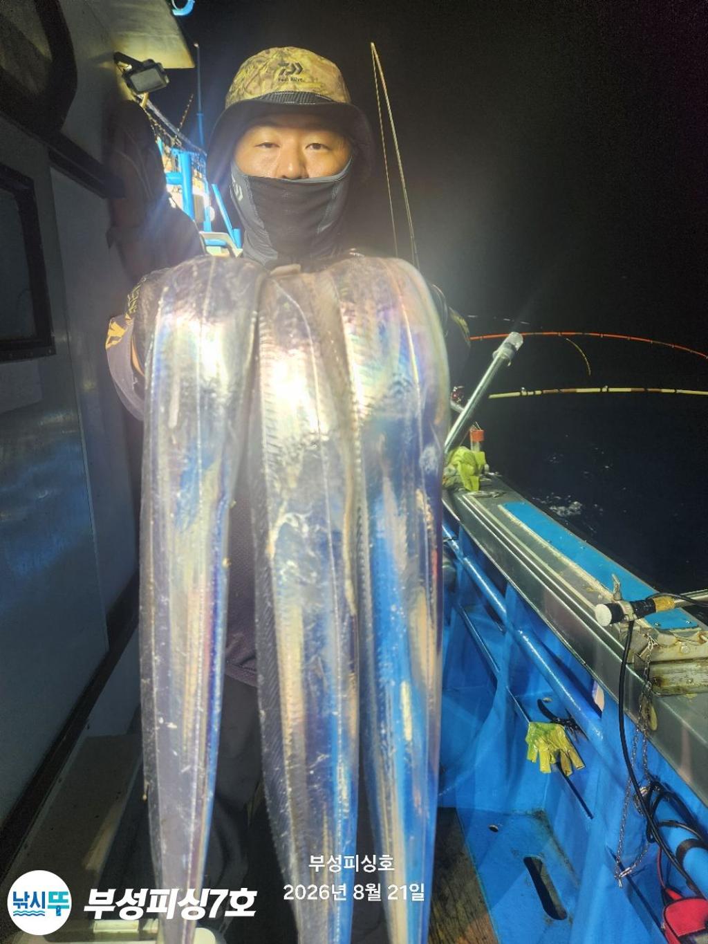 낚시뚜,갈치,통영영운리항,부성피싱7호,낚시뚜9