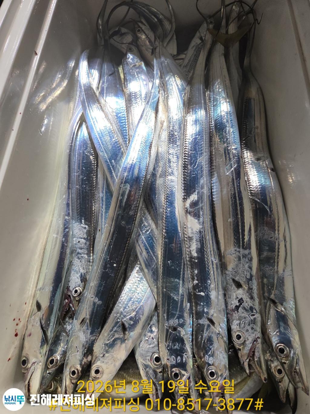 낚시뚜,갈치,진해1부두항,진해레져피싱,낚시뚜27
