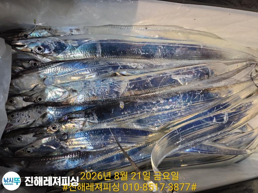 낚시뚜,갈치,진해1부두항,진해레져피싱,낚시뚜19