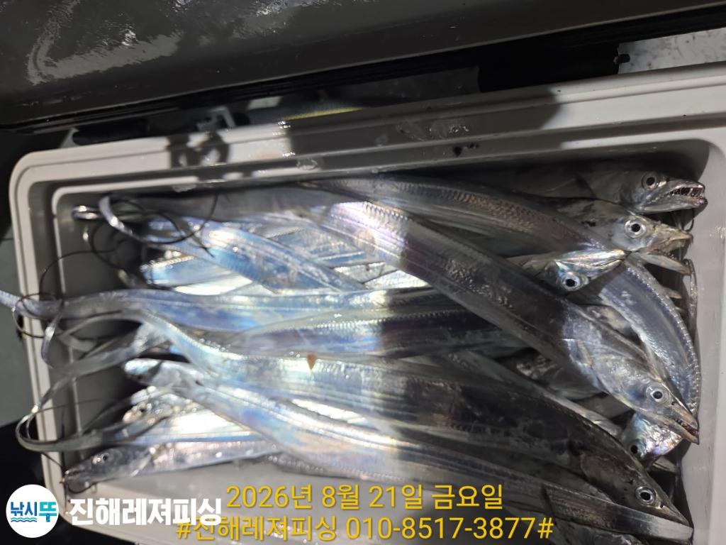 낚시뚜,갈치,진해1부두항,진해레져피싱,낚시뚜11