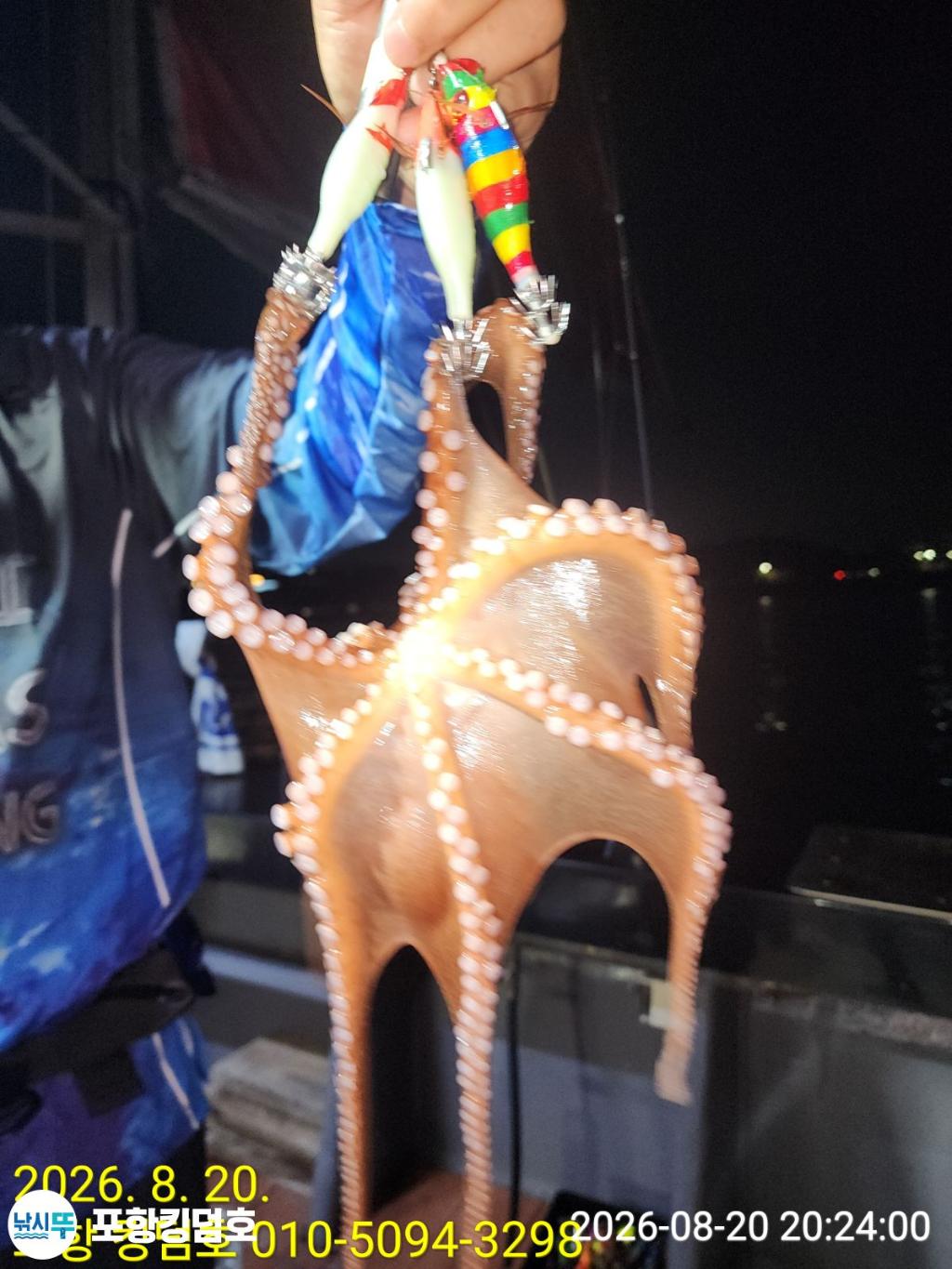 낚시뚜,돌문어,영일만항,포항 킹덤호,낚시뚜5