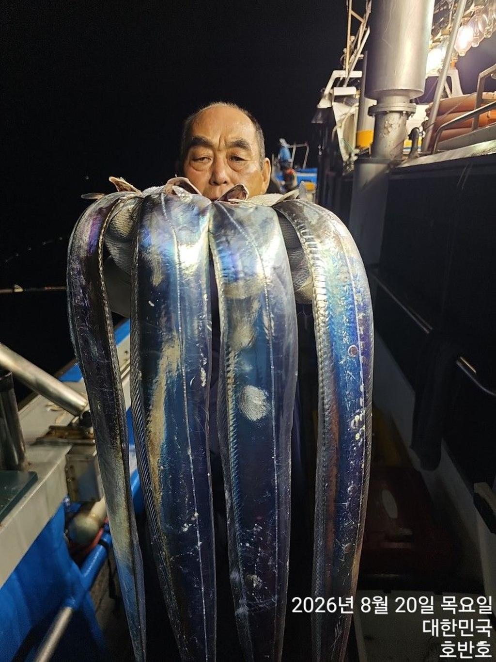 낚시뚜,갈치,통영 신전항,통영호반호,낚시뚜5