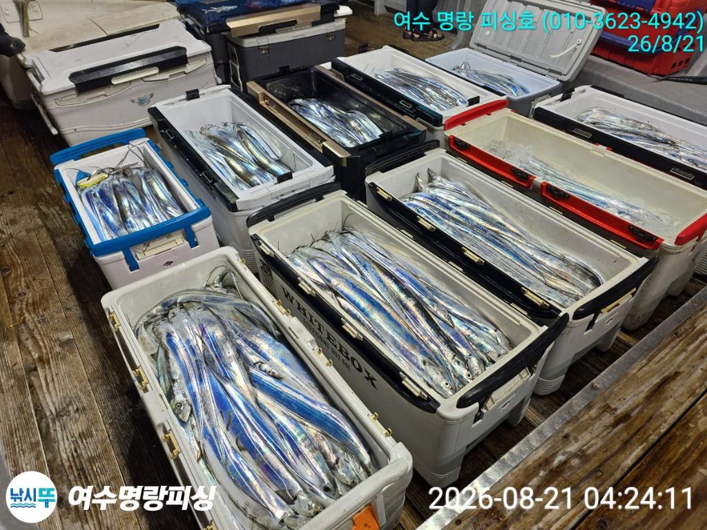 낚시뚜,갈치,국동항,여수명랑피싱,낚시뚜14