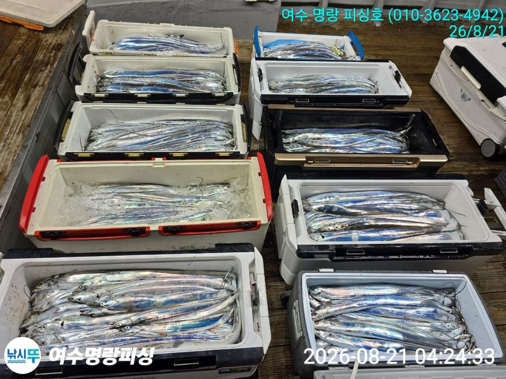 낚시뚜,갈치,국동항,여수명랑피싱,낚시뚜13