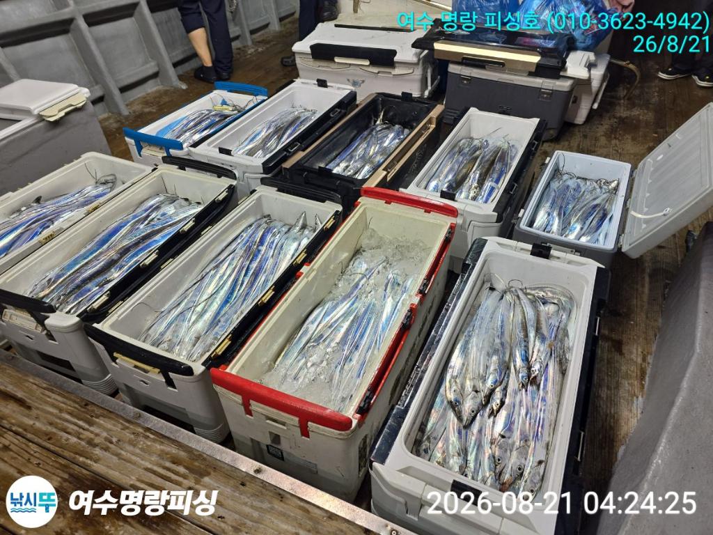 낚시뚜,갈치,국동항,여수명랑피싱,낚시뚜12
