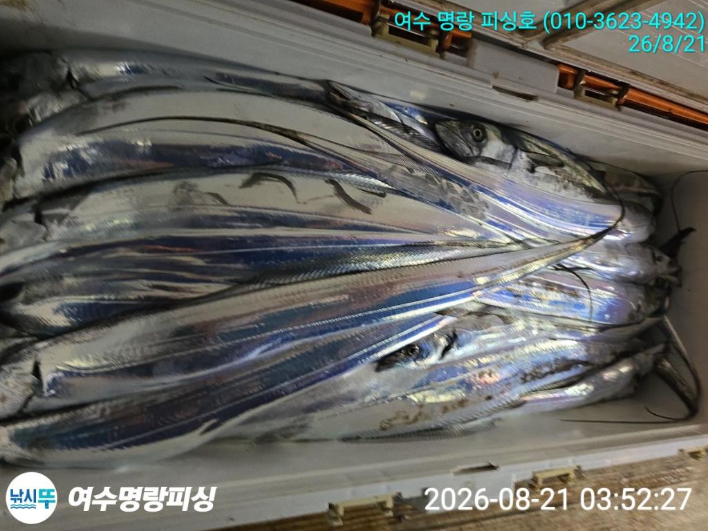 낚시뚜,갈치,국동항,여수명랑피싱,낚시뚜11