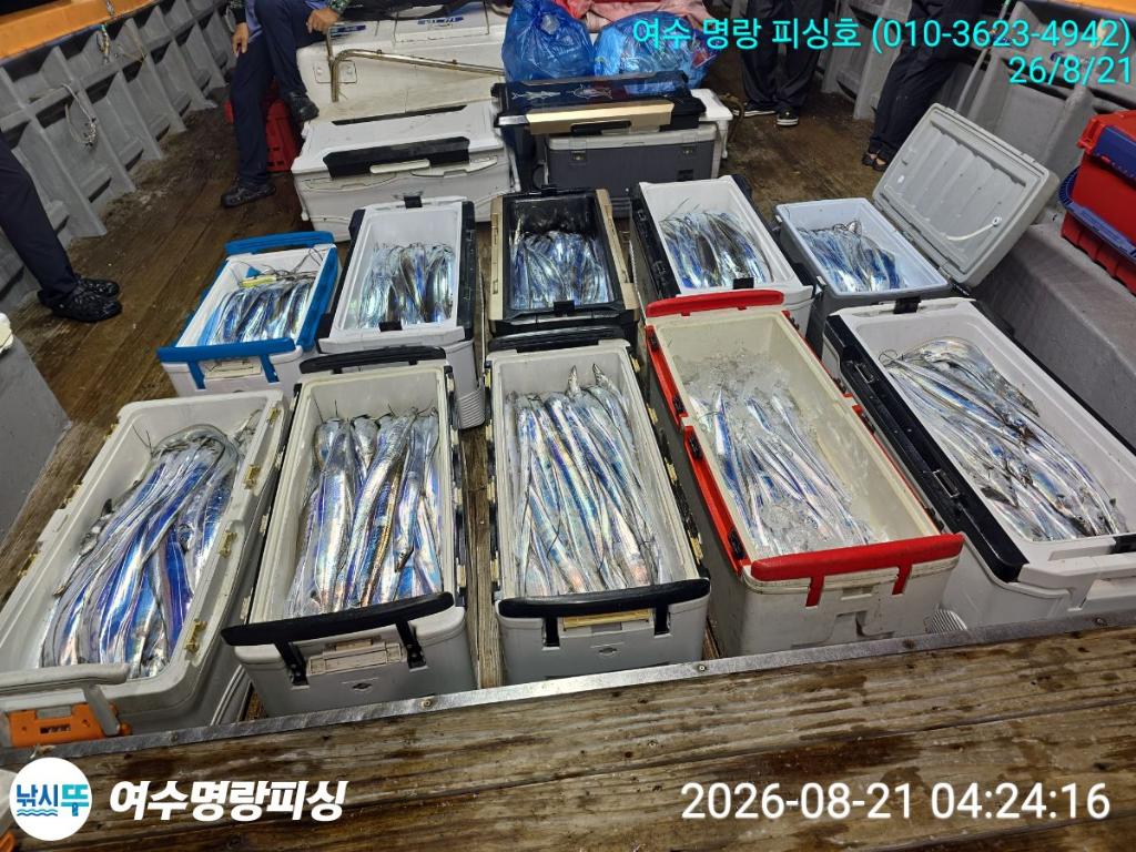 낚시뚜,갈치,국동항,여수명랑피싱,낚시뚜10
