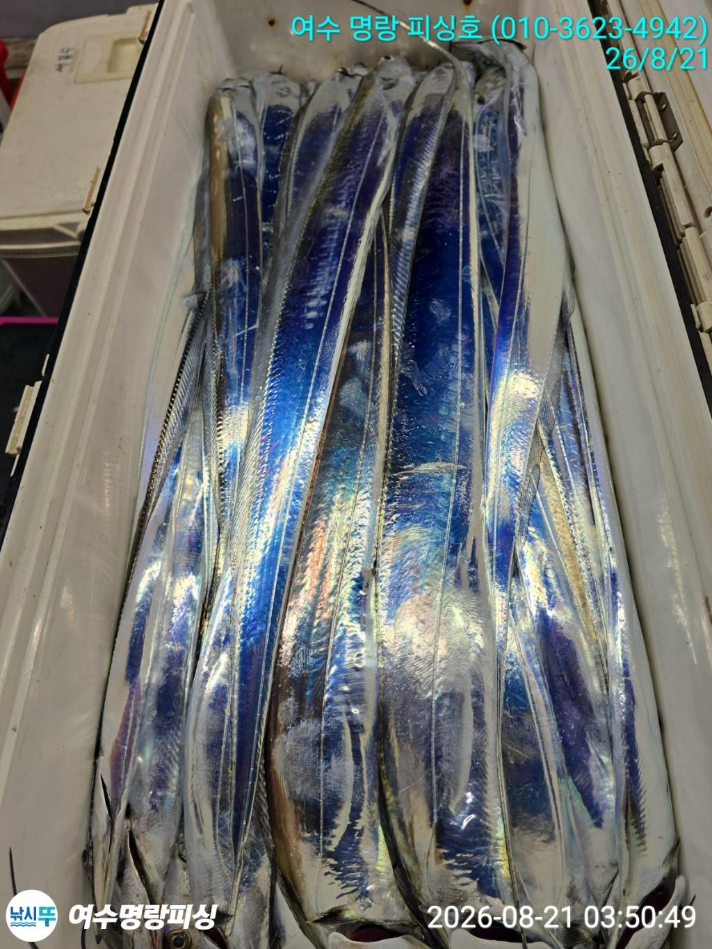 낚시뚜,갈치,국동항,여수명랑피싱,낚시뚜7