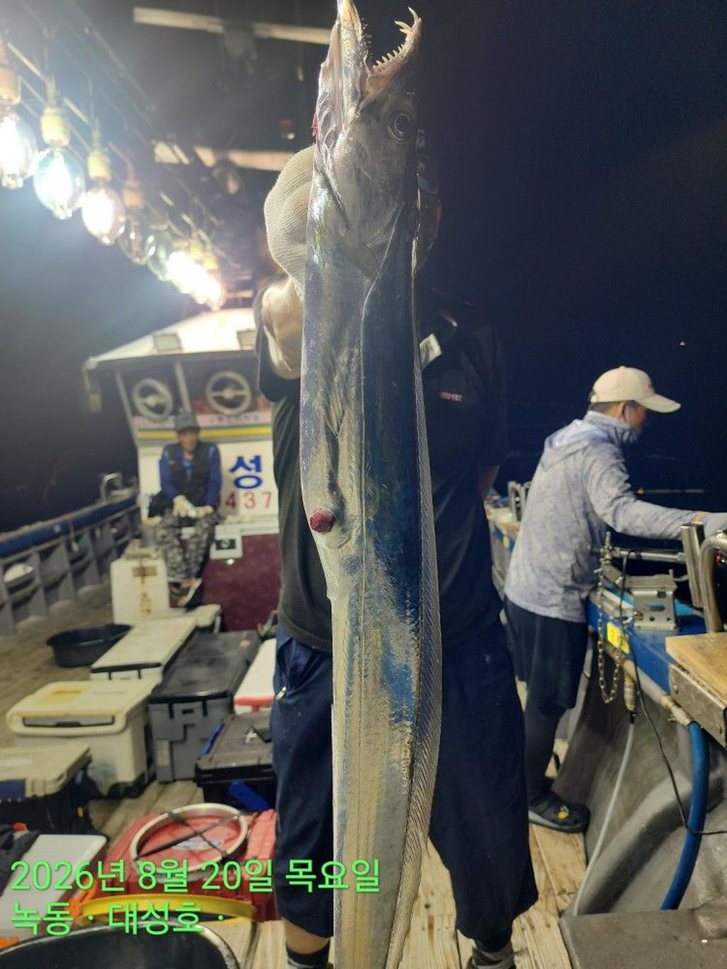 낚시뚜,갈치,녹동항,녹동대성호,낚시뚜13