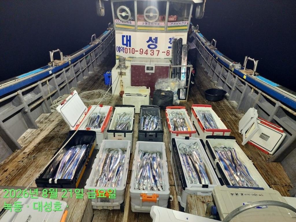 낚시뚜,갈치,녹동항,녹동대성호,낚시뚜0