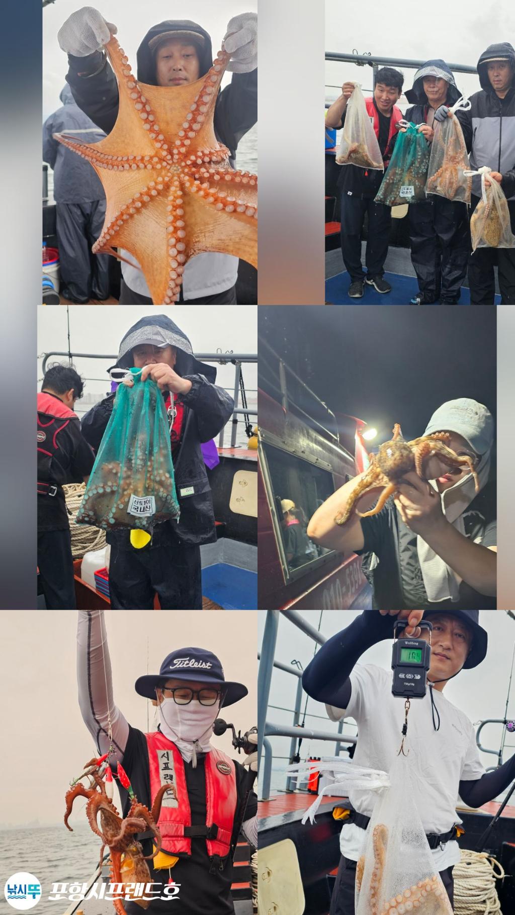 낚시뚜,돌문어,영일만항,포항시프랜드호,낚시뚜4