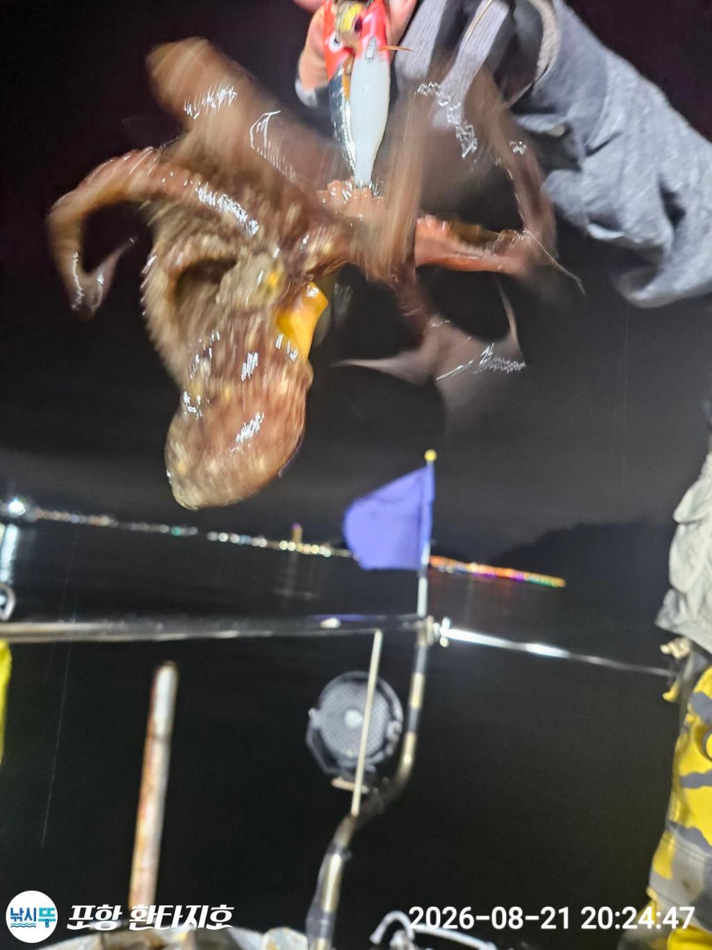 낚시뚜,돌문어,포항 동빈항,포항 환타지호,낚시뚜9
