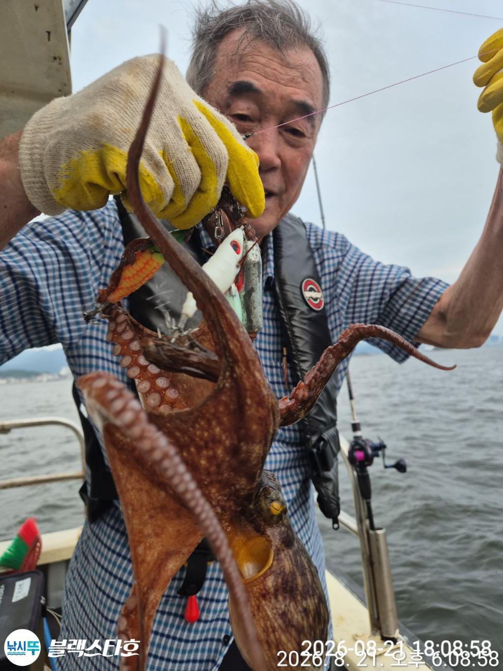 낚시뚜,돌문어,삼천포 팔포항,삼천포 블랙스타,낚시뚜13