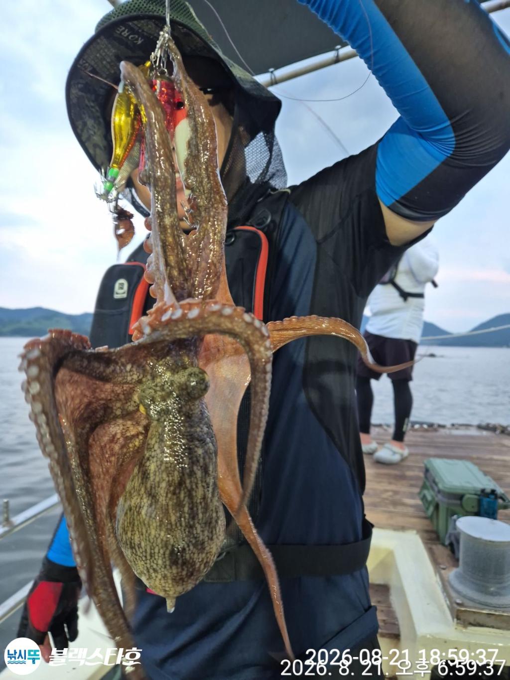 낚시뚜,돌문어,삼천포 팔포항,삼천포 블랙스타,낚시뚜11
