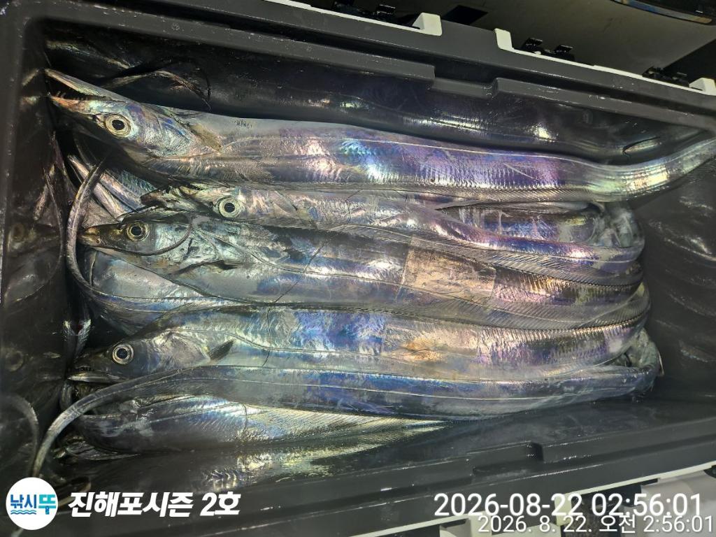 낚시뚜,갈치,진해행암항,진해포시즌 2호,낚시뚜11