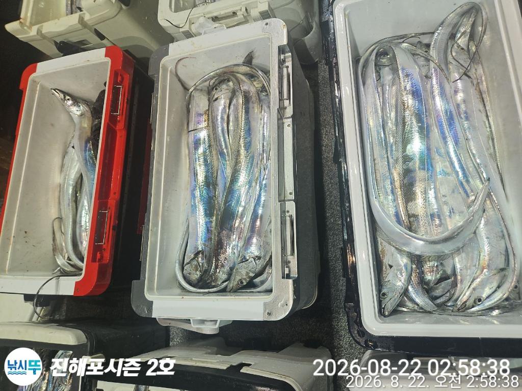 낚시뚜,갈치,진해행암항,진해포시즌 2호,낚시뚜0