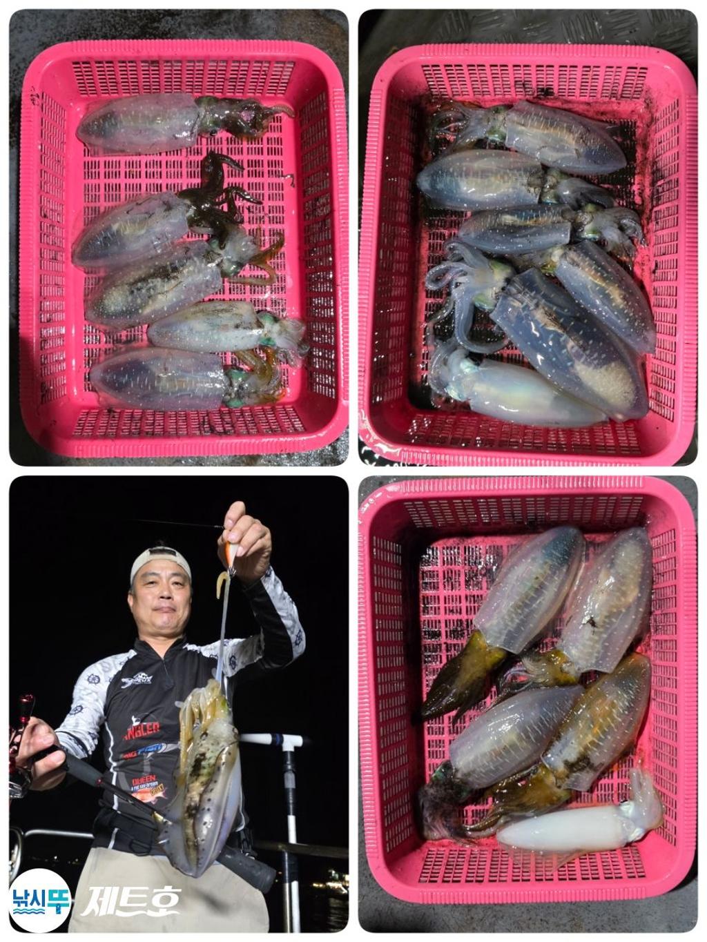 낚시뚜,무늬오징어,영일만항,포항 제트호,낚시뚜2