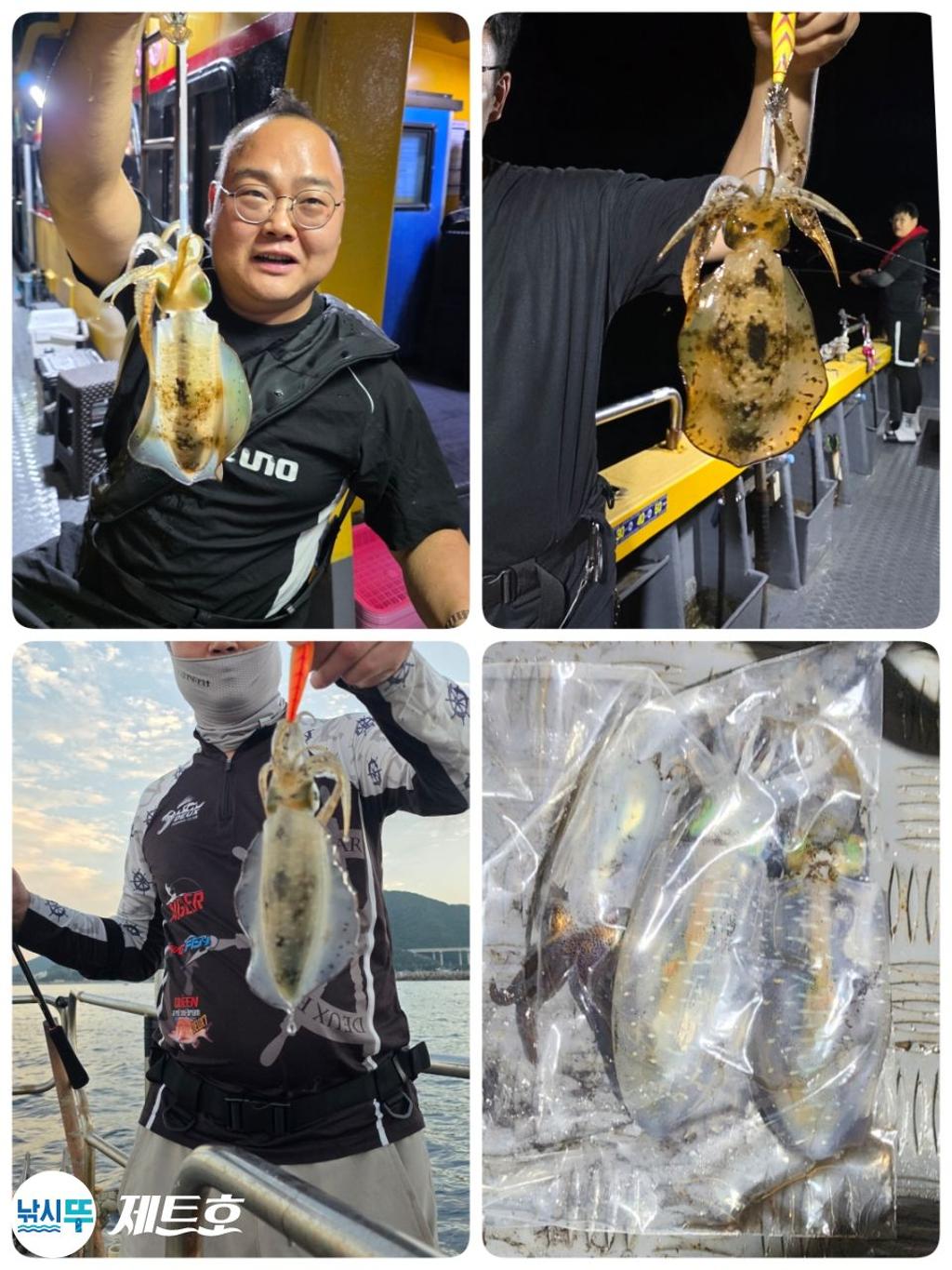 낚시뚜,무늬오징어,영일만항,포항 제트호,낚시뚜1