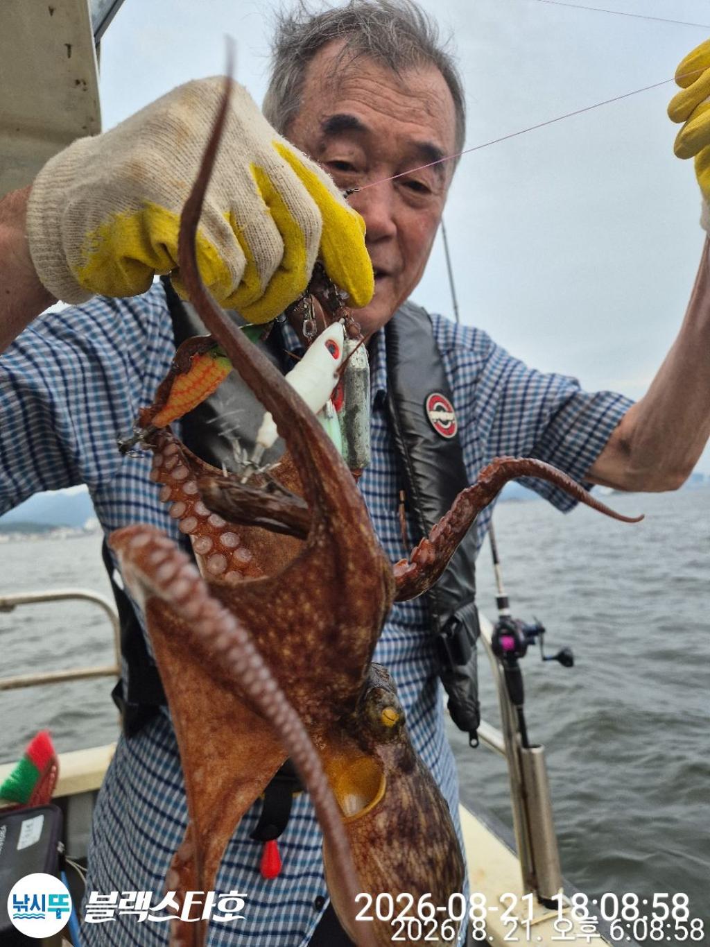 낚시뚜,돌문어,삼천포 팔포항,삼천포 블랙스타,낚시뚜12