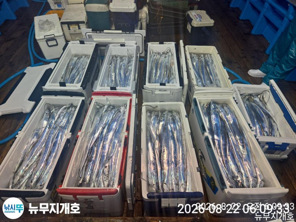 낚시뚜,갈치,통영영운리항,뉴무지개호,낚시뚜17